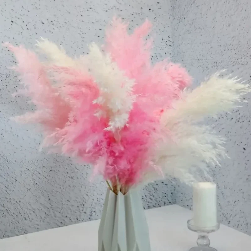 10Pcs Mix Color Pink White Fluffy Pampas Grass Boho Home Decor Natural Real Plant Suszone Kwiaty z Łodygami Ślubne Centerpieces