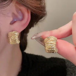 Geometric Metal Irregular Grain Clip on Earrings for Women Punk Style Personality Earrings Travel Party Jewelry Gift