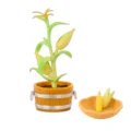 Corn