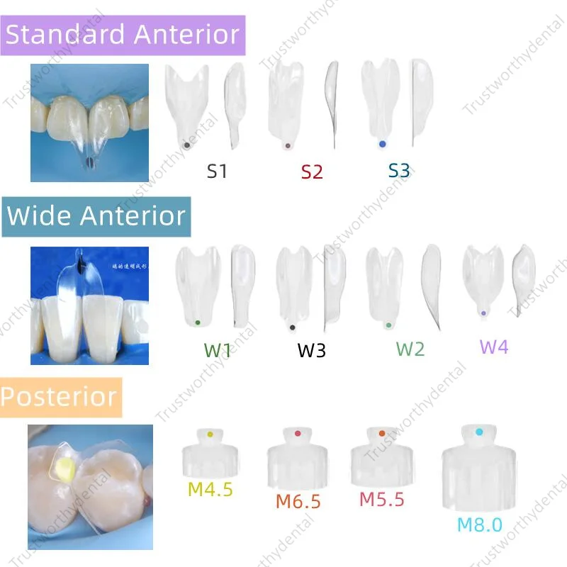 10Pieces Dental Clear Matrix Anterior/Posterior Teeth Transparent Matrix Fit Bioclear BT 6Size