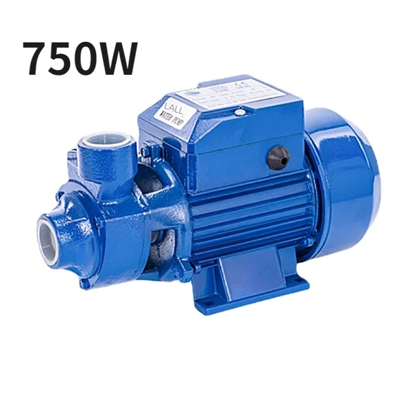 

QB70 QB80 550W 750W Cast Iron Self Priming Centrifugal Water Pump High Pressure Booster Pump Well Pumping Self-priming Pump