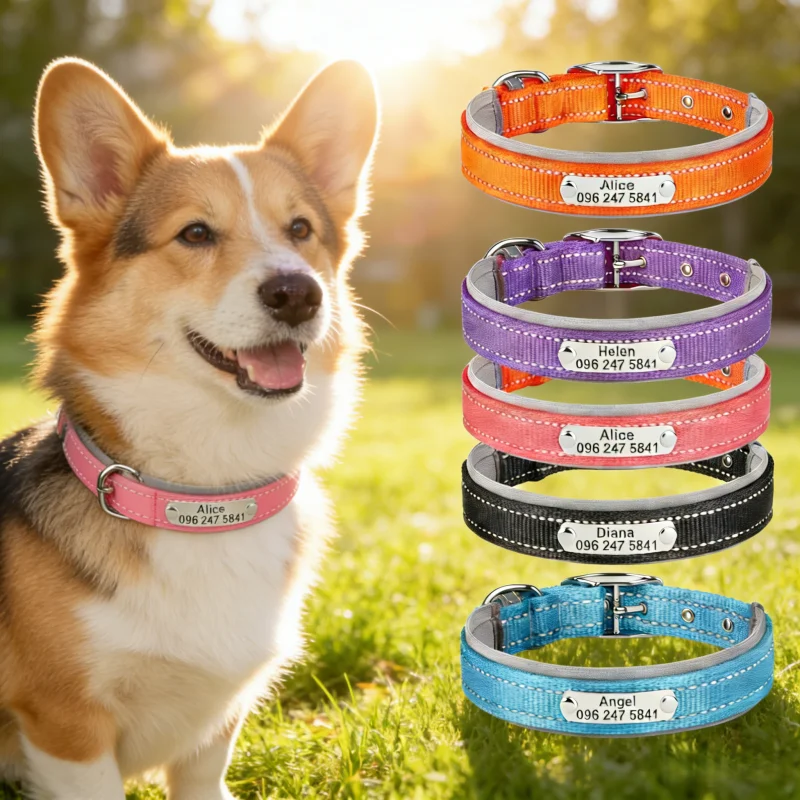 1 Stück anpassbares reflektierendes Nylon-Haustierhalsband, geeignet für kleine, mittelgroße und große Hunde und Katzen