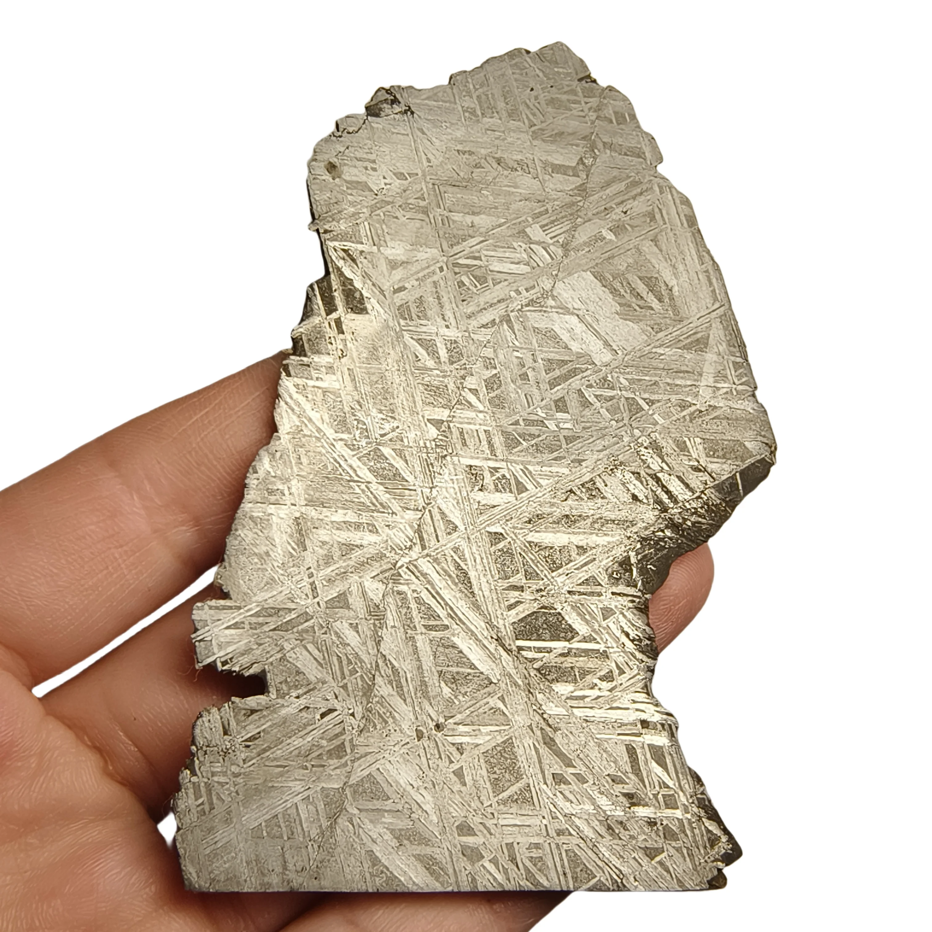 131.8g Namibian Gibbon Iron Meteorite G Iron Ore Section Specimen Slices Collectable and Processable -QC784
