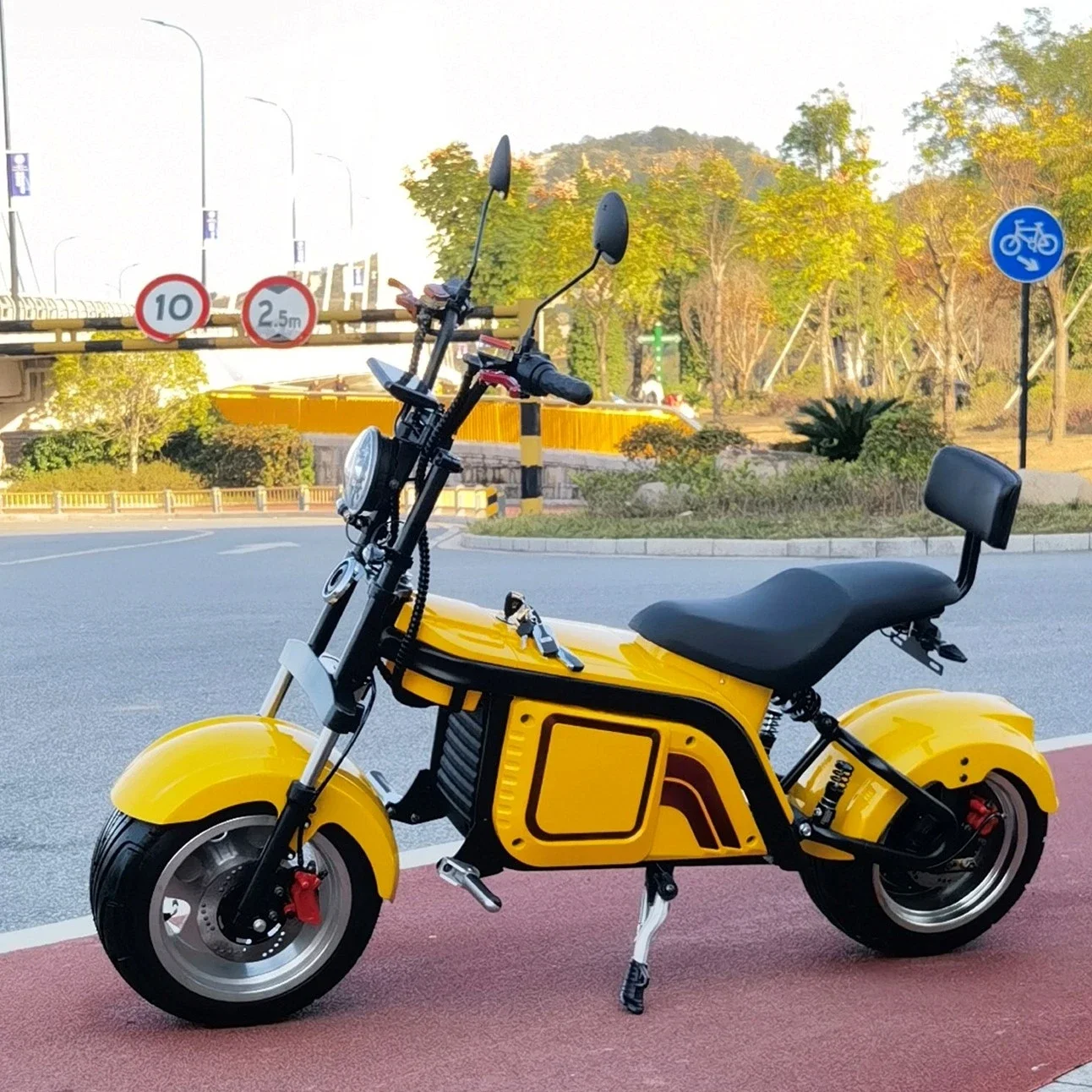 Holland Warehouse 2023 Newest Citycoco, Electric Scooter citycoco 1000W 2000W 2 Big Wheels YIDE Citycoco Bike With CE