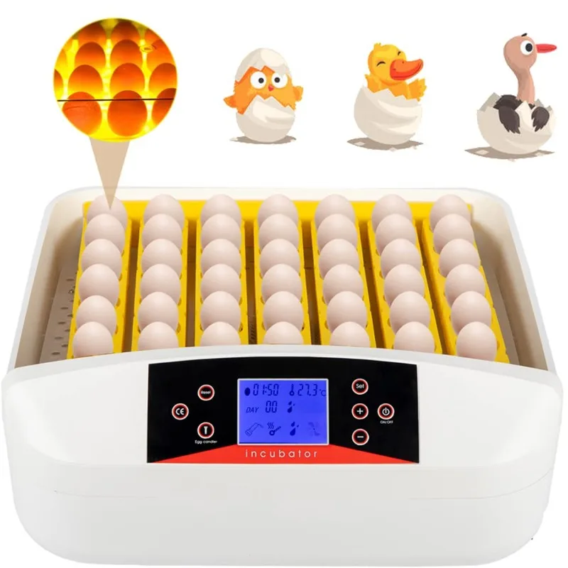 

110V 220V 56 Egg Incubator Hatcher Digital Auto-Turning LED Egg Lighter for Fertilized Chicken Duck Quail Bird Eggs Hatching