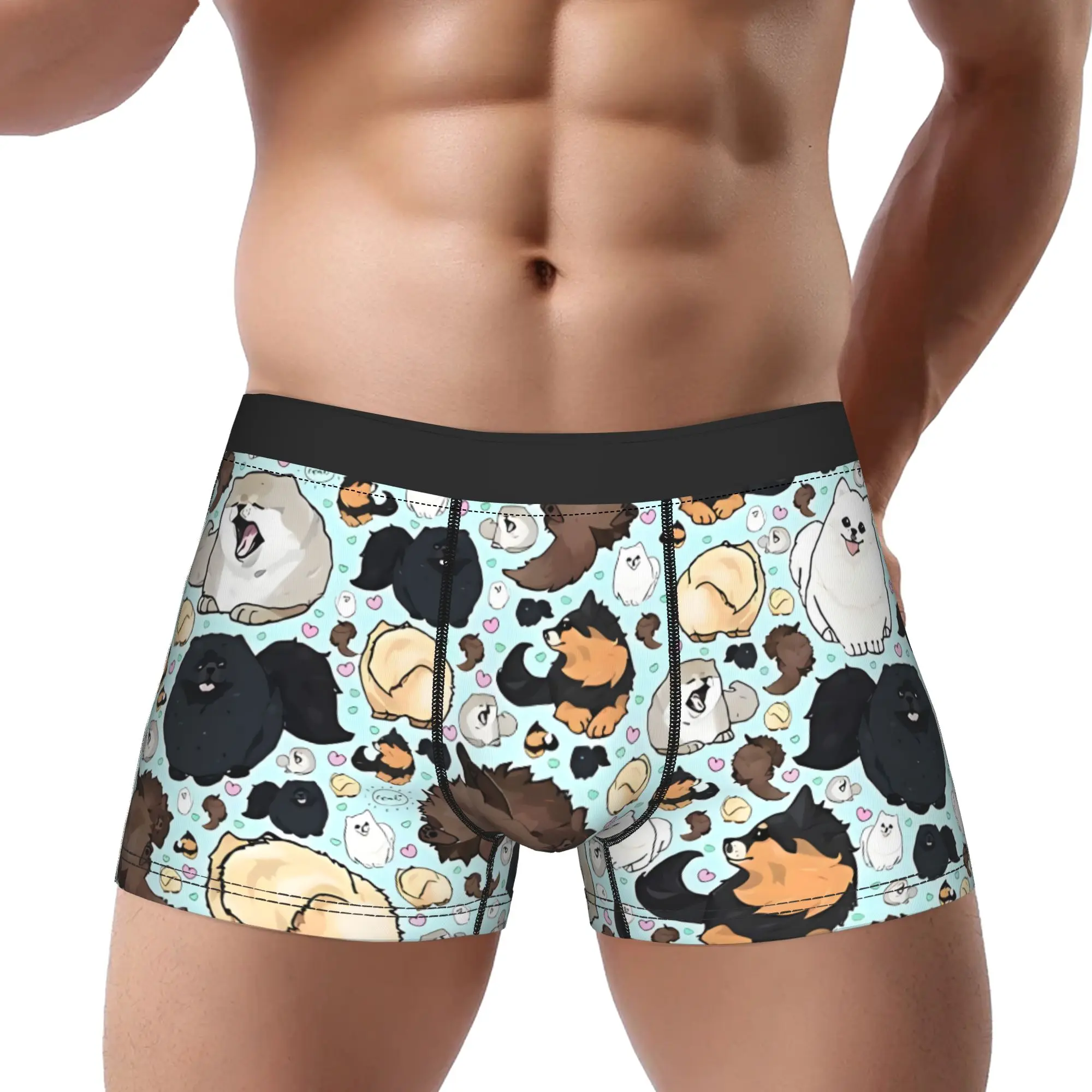 

Pomeranians Underwear Man Polyester Boxer Briefs Underpants Printed