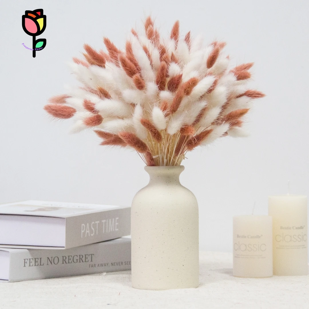 

100pcs Natural Preserved Flowers Bunny Tail Grass Wedding Decoration Fluffy Rabbit Tails Home Decor Pampas Floral Arrangements