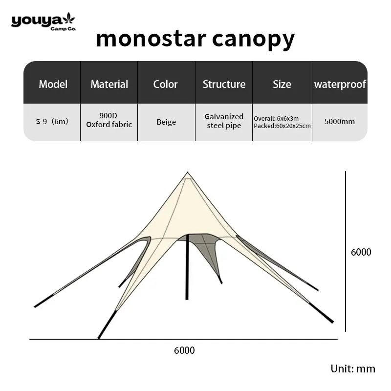 Рисунок 6 - Большая палатка с изображением паука и звезды