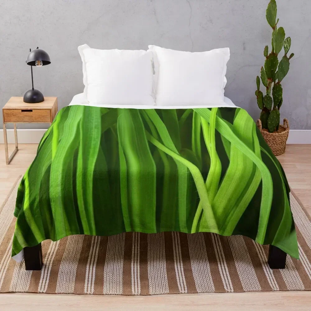 

sunbeam heated Throw Blanket Comforter Picnic Flannel Fabric Soft Plaid Blankets