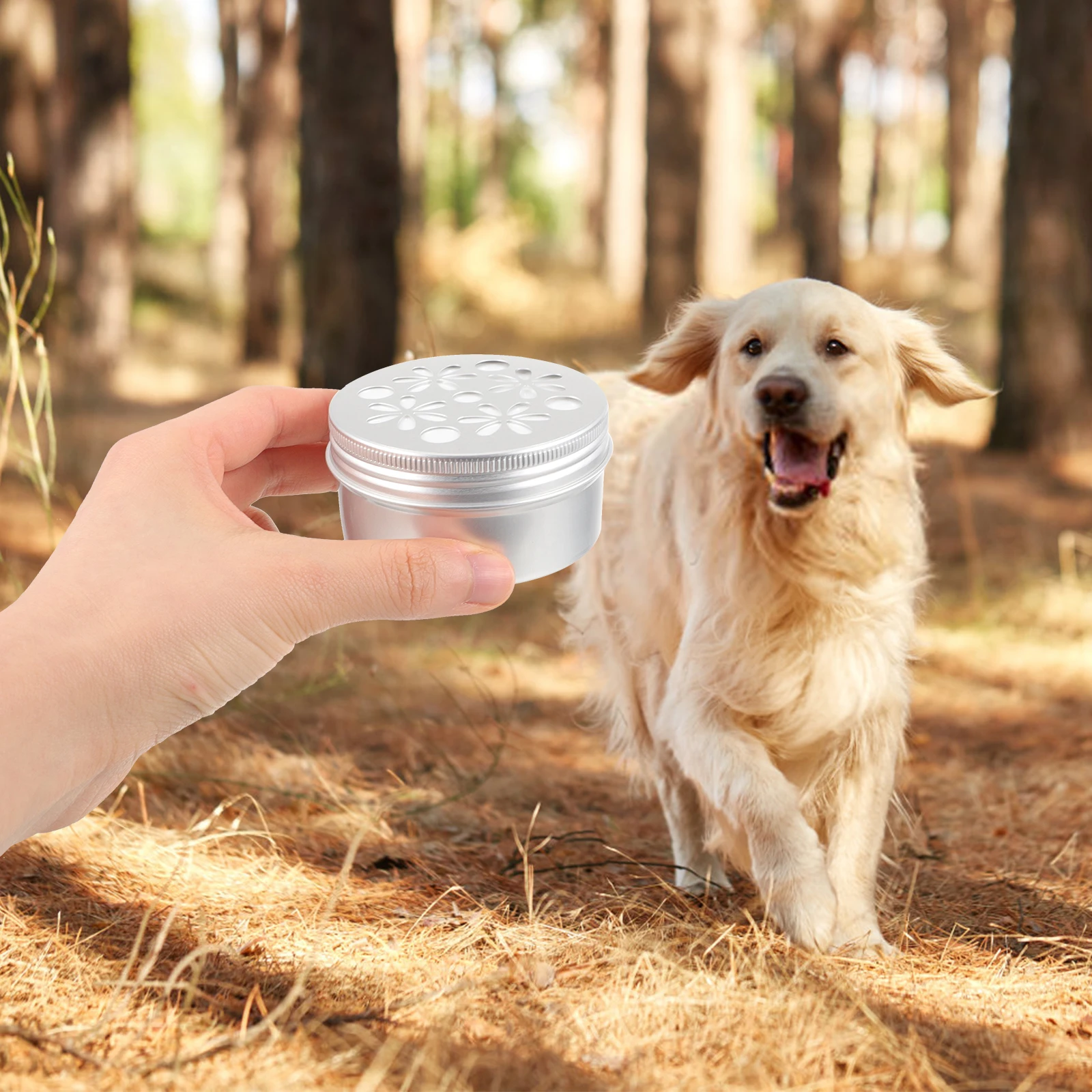 

10 Pcs Dog Scent Training Boxes 80ml Aluminum Box for Major Case Supplies Container Nose Work Tools Dog Training Equipment