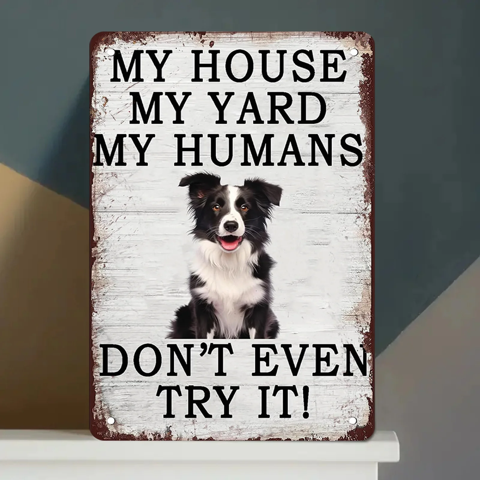 Border Collie Metal…