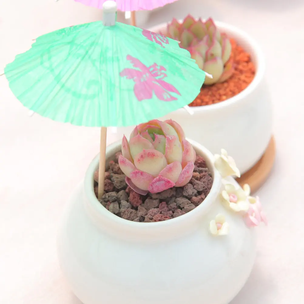 30Pcs Paper Umbrella Picks Mini Landscape Decor for Succulent Plants Bonsai Micro Gardens Living Room Desk Decorative Umbrella