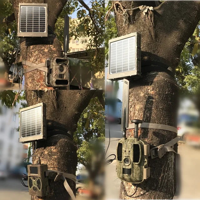 كاميرا تعقب الصيد 12 ميجابيكسل 4G كاميرا مراقبة للحياة البرية تدعم الرسائل القصيرة/البريد الإلكتروني/FTP