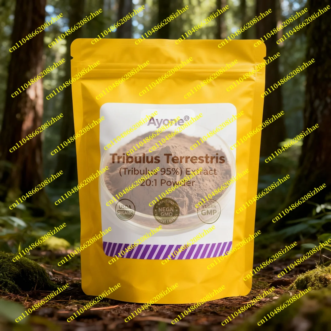 Home Crafts (Soap M… - image