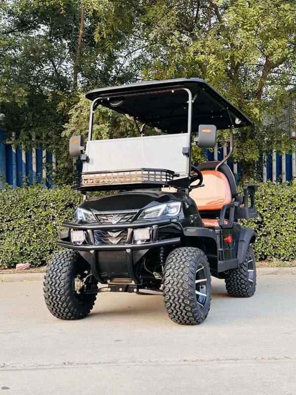 سعر المصنع مباشرة سيارة EEC بالقرب مني أفضل عربات جولف ستريت عربات كهربائية قانونية مع مساحة ضخمة #2