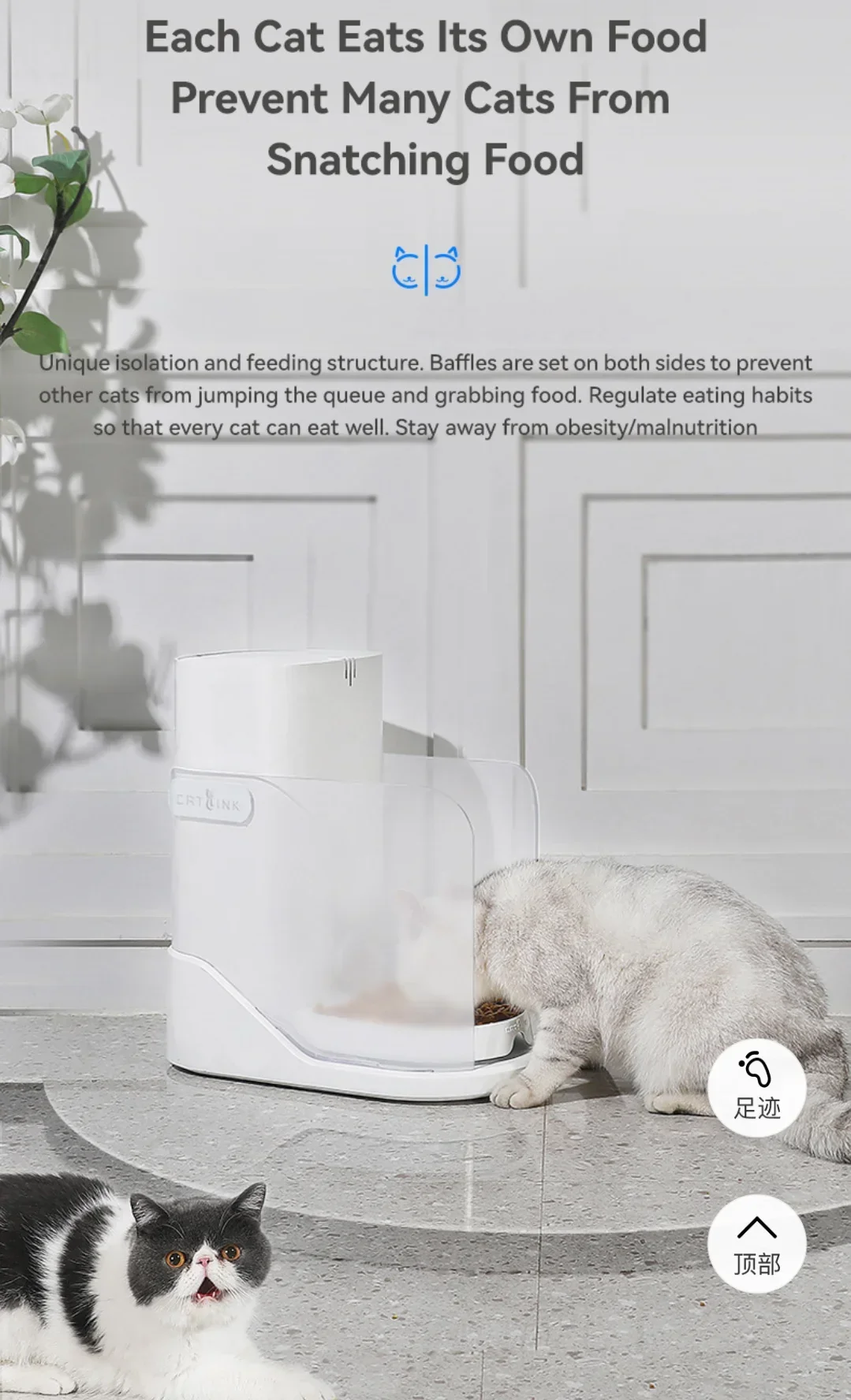 Multi-cat RFID Chip Recognition APP Pet Automatic Feeder Cat Supplies Smart Feeder for Multiple Cats Multiple Dogs