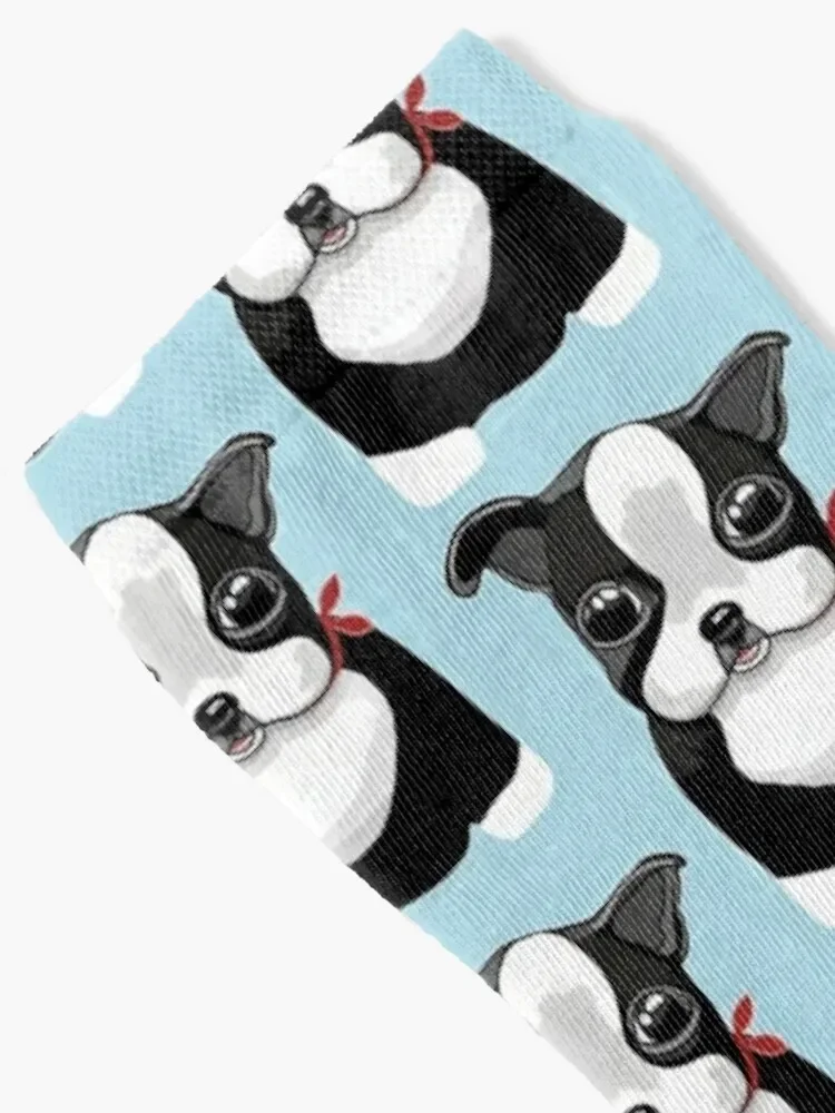 Boston Terriers Socks aesthetic sport Socks Women's Men's