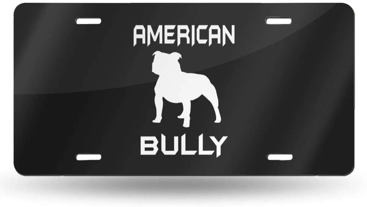 Tina TN Personalized License Plate Yorkshire Terrier - Peeking Dogs Decorative Car Front License Plate 6 X 12 Inch sign