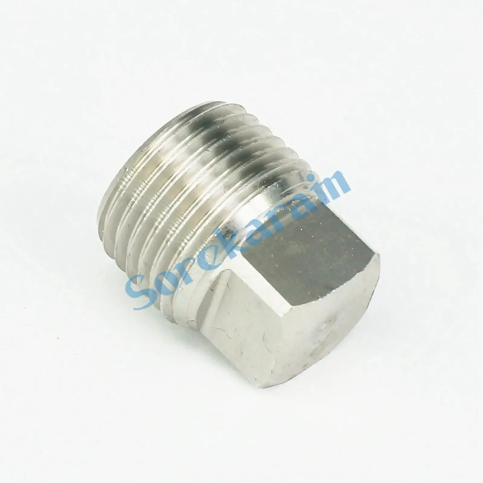 3000 Psi 1 "Npt 304 Rvs Hex Hoofd Plug End Cap Water Gas Olie