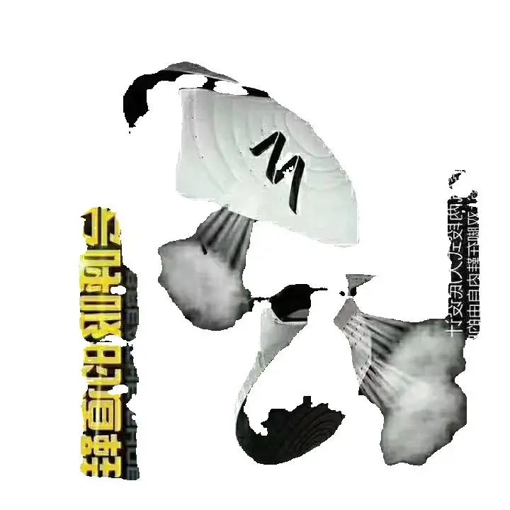 

2025 Unisex Wushu Wrestling Martial Arts Shoes New Deluxe Men's Women's Wushu Training Shoes Top Taiji Shoes