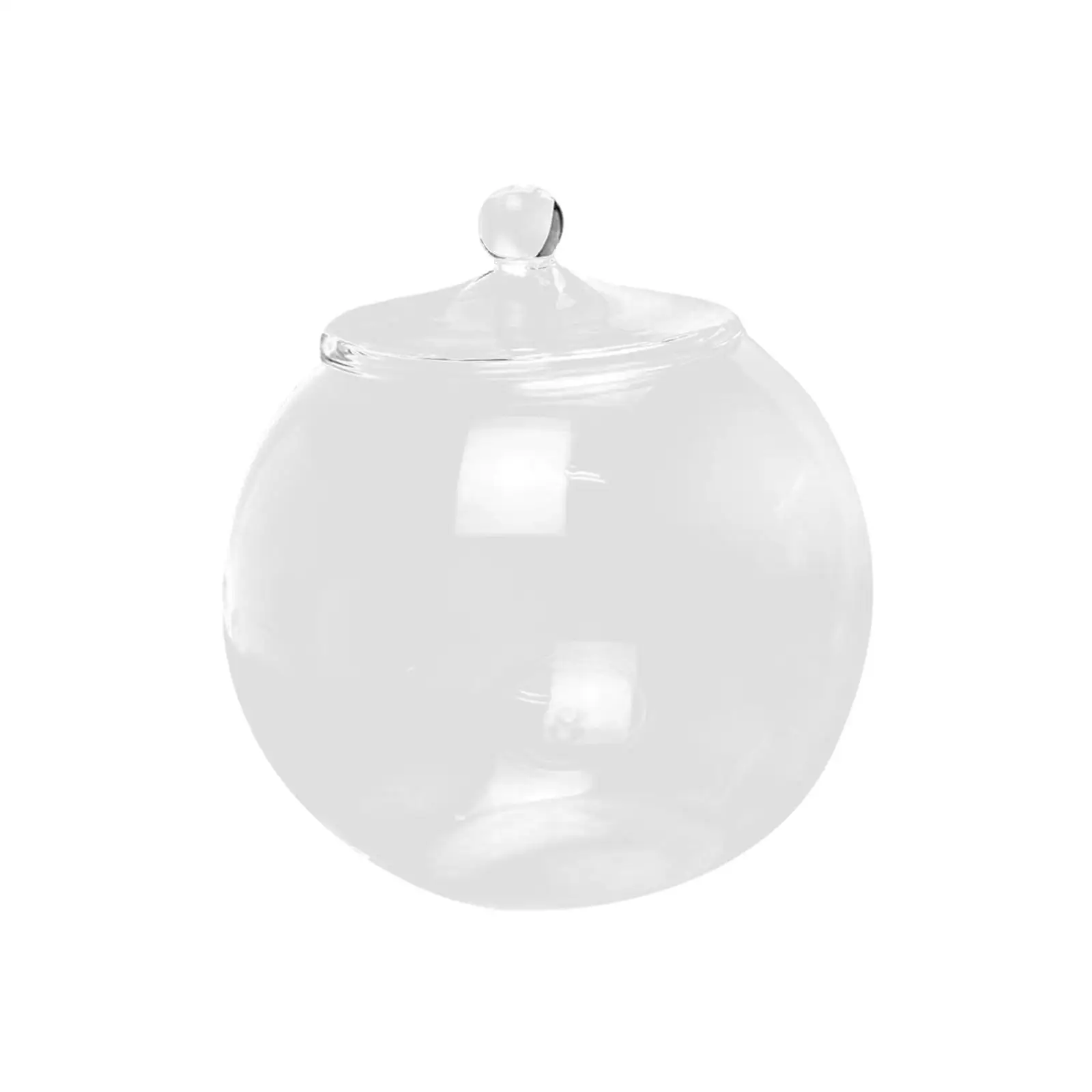Decorative Glass Terrarium Micro Landscape Vase Sealed Round Jar Container for Home Tabletop Flower and Plant Display