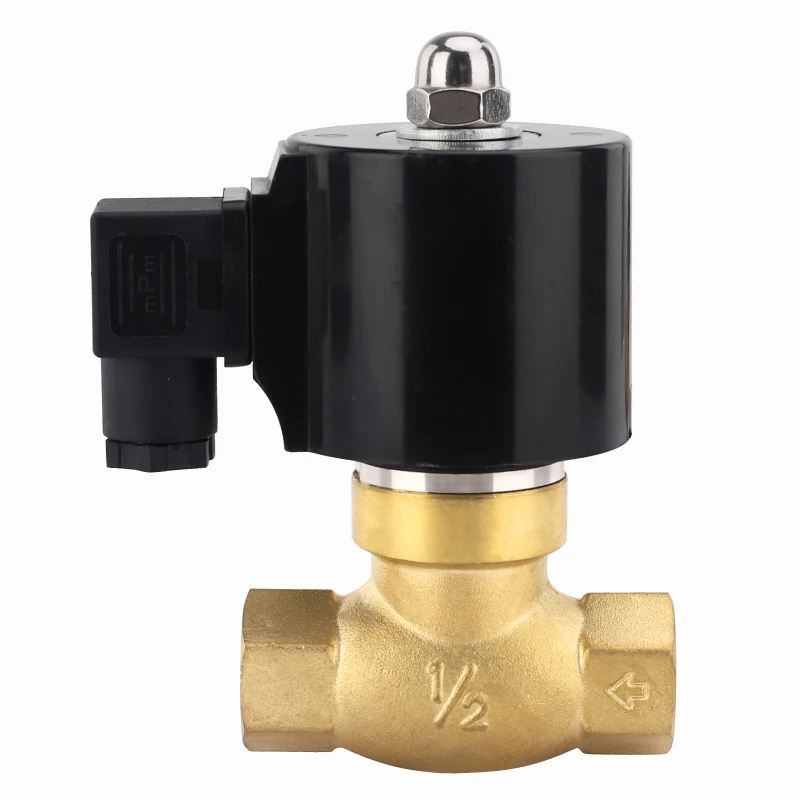 

1/2in-1in AC110V ~ 220V / DC24V ~ 12V brass material water solenoid valve