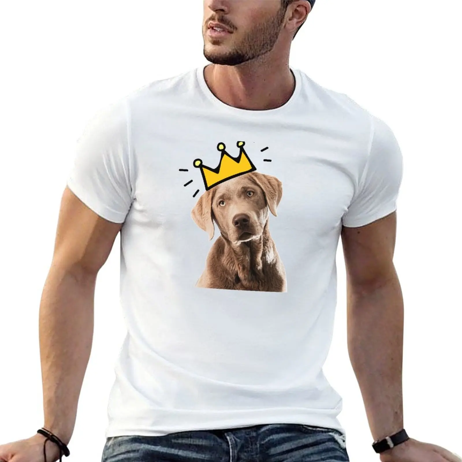 Silver Lab Puppy National Dog Mom Day T-Shirt Work Style Casual T-Shirt
