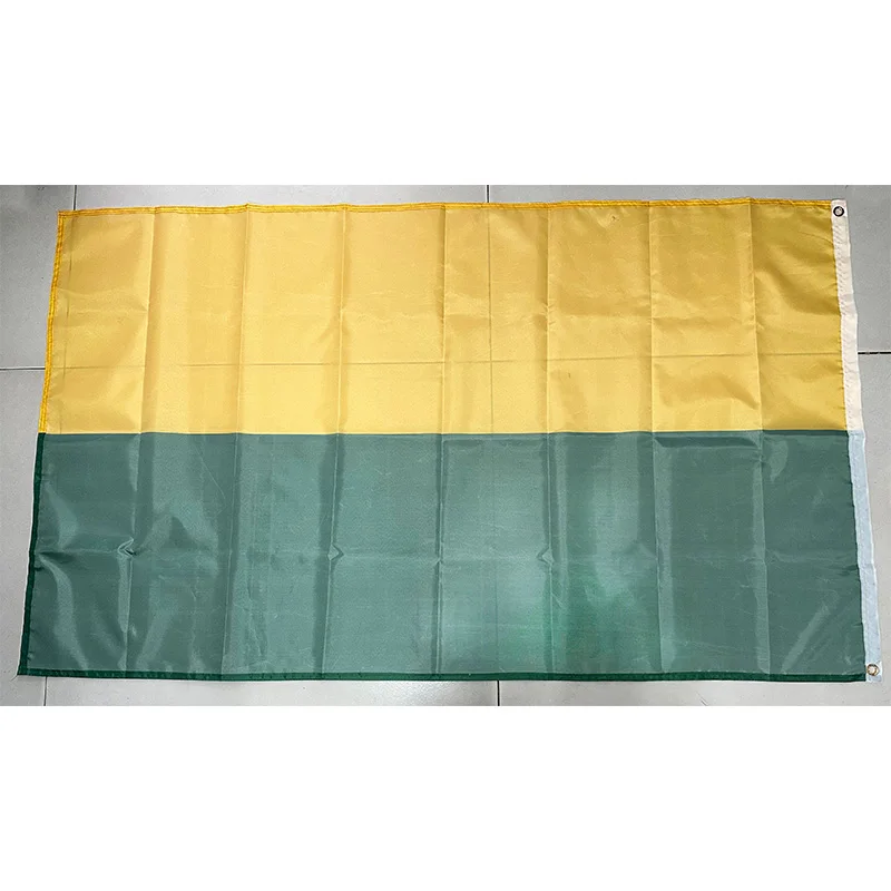 The Hague  Flag Holland Netherlands City 60x90cm 90x150cm Decoration Banner for Home and Garden