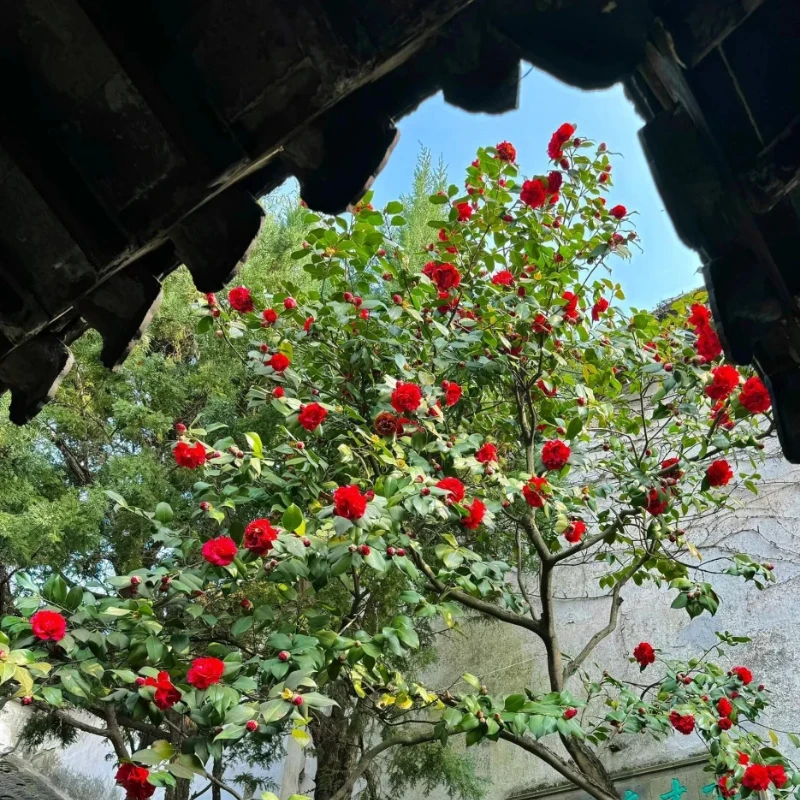 

FLYCOLOR Raptor5 4in1 ESC 60A 45A G701 V5 PWM 128K 3-6S 30X30 мм для FPV дрона Контроллер полета для фристайла Стек DIY Запчасти