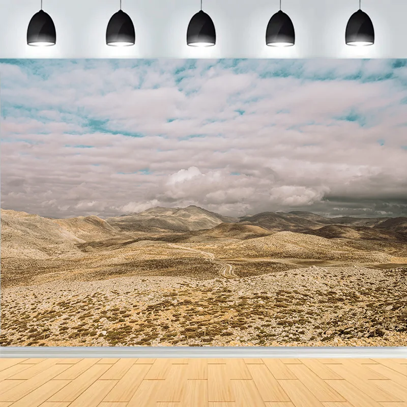 

Beautiful View Desert Wind Swept Sand Photography Backdrops Dunes Sunset Natural Scenic Travel Photo Studio Background SD-02