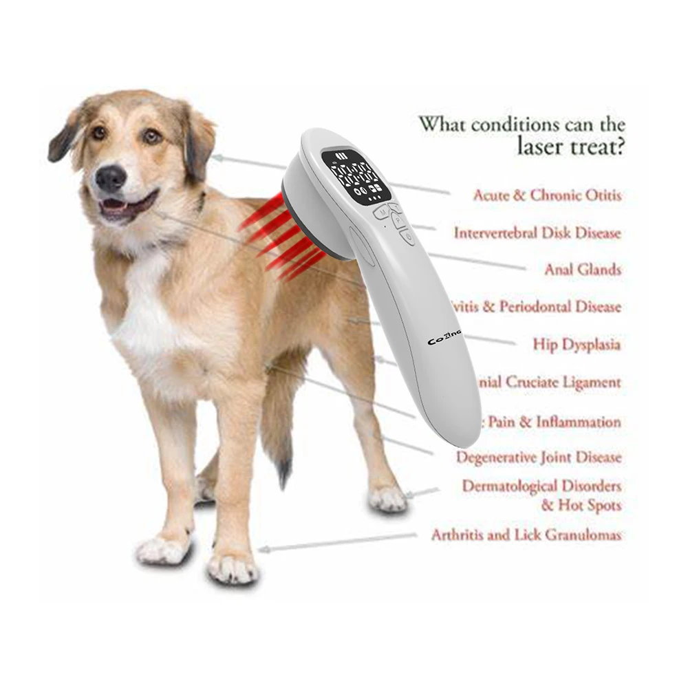 808 nm 650 nm tragbares Typ-C-USB-Anschluss Tierarzt-Therapie-Behandlungengerät für arthritische Hunde, Katzen, Haustiere