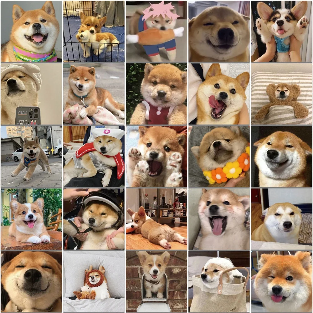 10/30/50PCS Cute Shiba Inu Corgi Cute Pet Dog Sticker For personality Toys Luggage Laptop iPad Cup Phone Case Sticker Wholesale