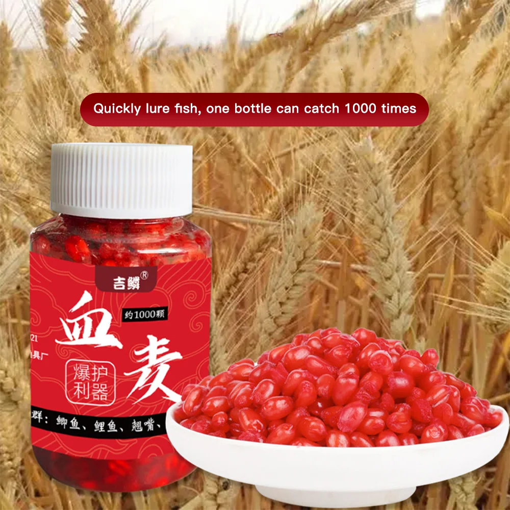 100g Fish Bait Blood Wheat Fishing Fairy Grain High Concentration Bait Fish Bait Nest Wild Fishing Lure Carp Grass Carp Feed