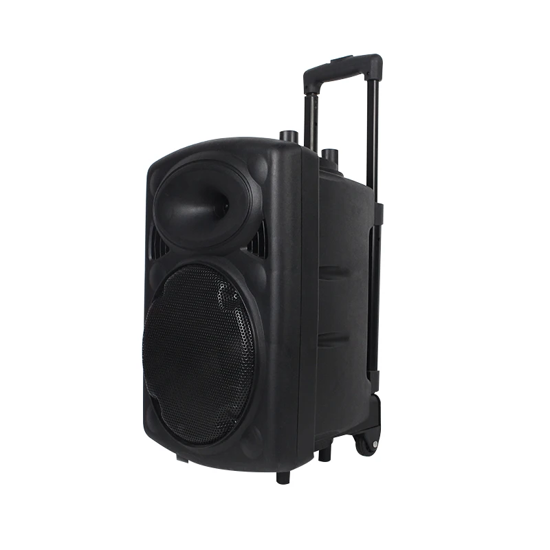 10 Inch Portable Amplifier Trolley Portable BT Amplifier Speaker With Batteries