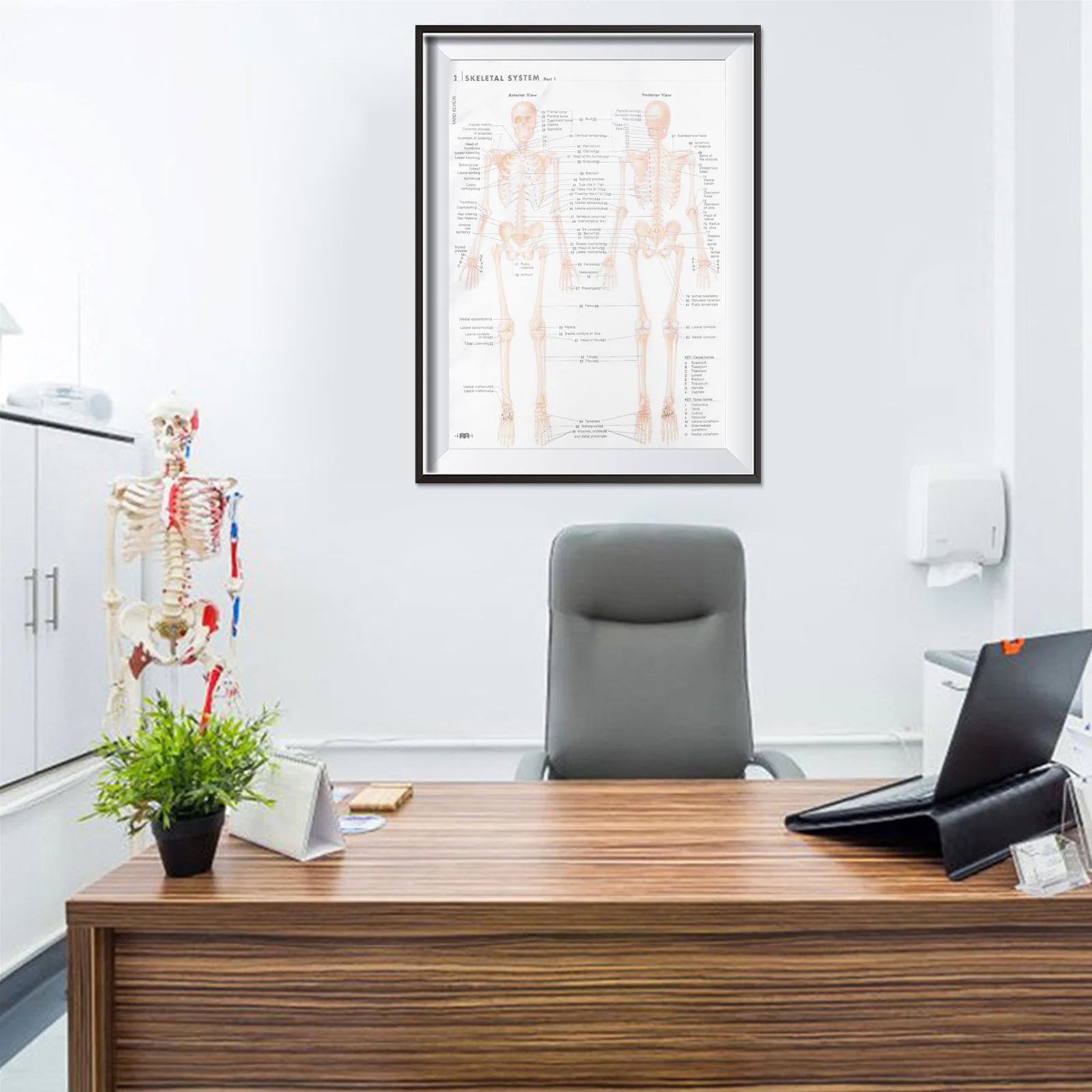 

Human Anatomy Poster Stunning Educational Gift for Family Friends Home Wall Decor Theme Party Decoration Artwork