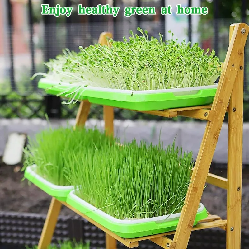 Microgreens Sprout Tray Germination Tray Double Layer Sprout Hydroponics Tray Plate Nursery Pots Soilless Cultivation Planting - view 3