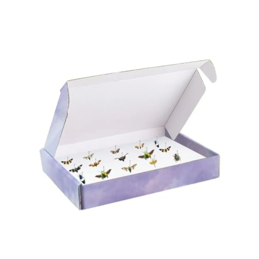 

4 PCS Insect Pinning Boxes for Entomology 7.9 x 5.5 x 1.6 Inch, Included 4 PCS White Foam Pinning Board and 1 Box of Insect Pin