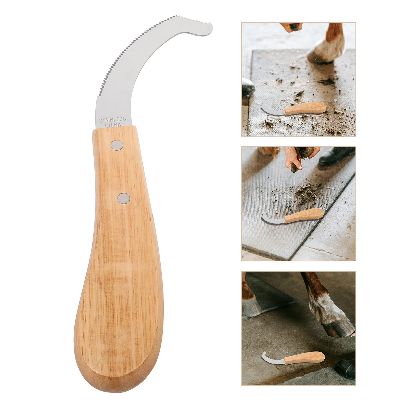 

Horse Bot Egg Knife Stainless Steel Blade Wooden Handle Precision Grooming Scraper Equine Bot Removal Tool Horse Grooming Tool