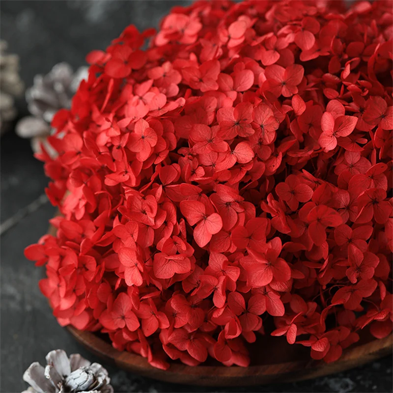 5~5.5g/Lot Natural Preserved Hydrangeas Fresh Eternal Flowers Dried Hydrangea Flower Heads For DIY Candle Making Gift Material