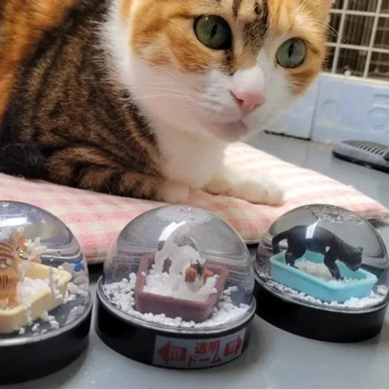 KITAN Capsule Toy Cute Cat Litter Snow Globe White Black Tiger Calico Kitten Miniature Anime Snowflake Ornament Gashapon Figures