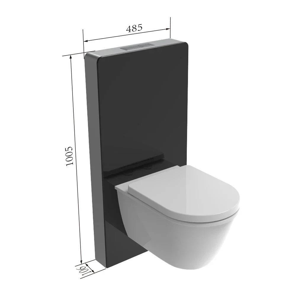 Sanitary Back to Wall Toilet Concealed Cistern with Modern Neat Design Glass Cabinet For Wall Hung Toilets