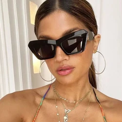 Fashion Cat Eye Sunglasses Women 2026 Trends Oversized Designer Sun glasses Shades gafas de sol UV400 Vintage Eyewear Male