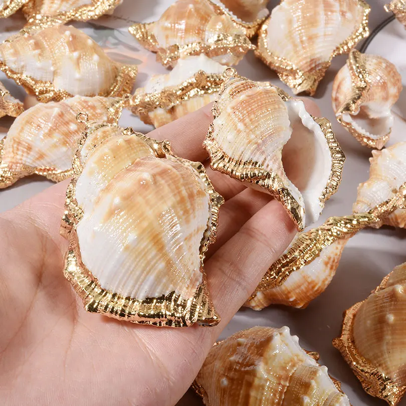 Natural Seashell Conch Pendants for DIY Jewellery Making