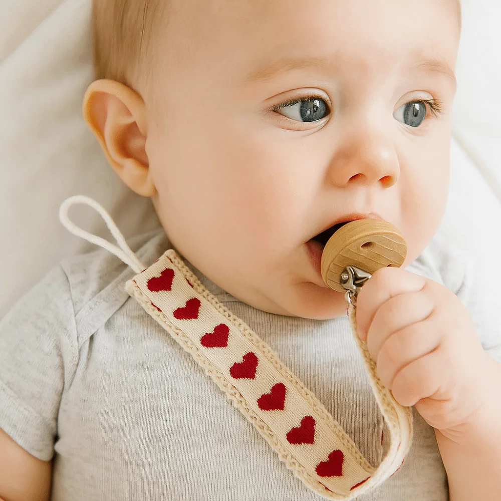 Porta capezzoli fittizio Nuova - Baby Food Teether recensione e prezzo