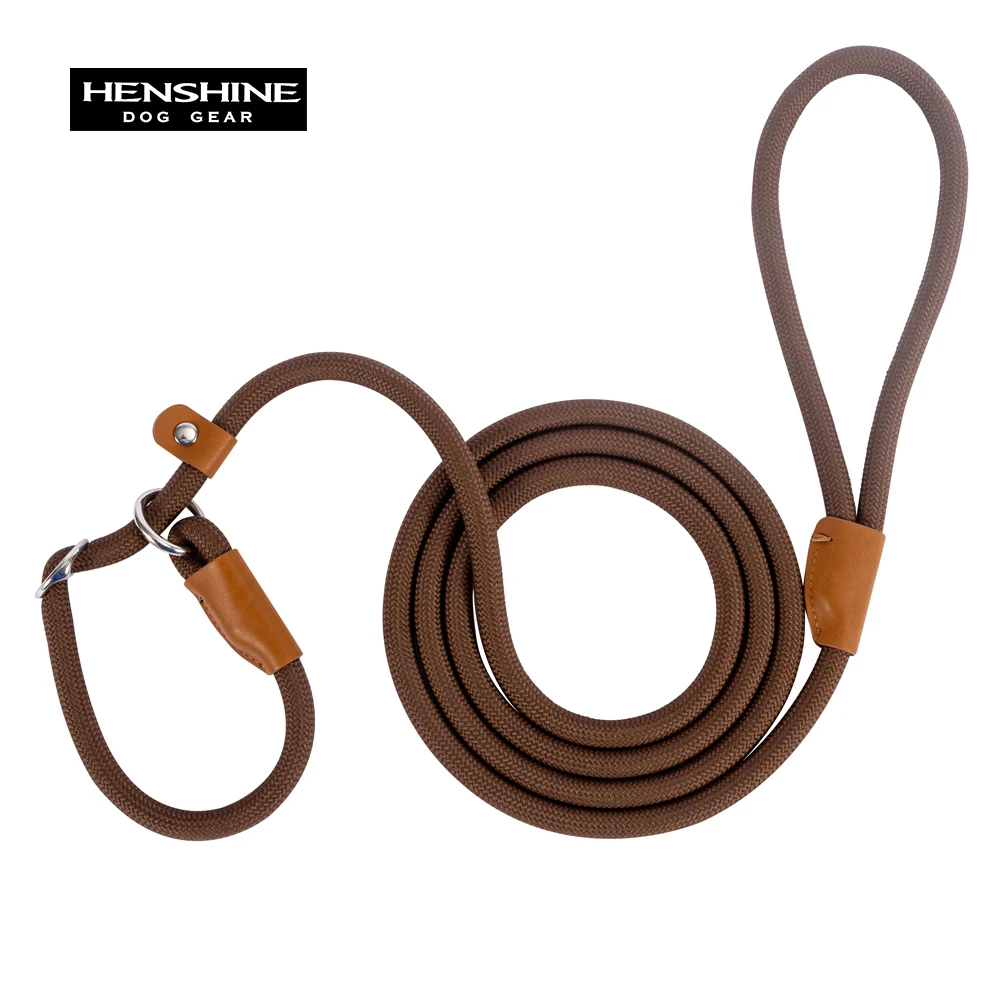 Bequemes langlebiges Nylon-Rutsch seil bestes Hunde leinen halsband verstellbare Gleit verschluss schlaufe mittlere bis große Leine für Hunde haustiere – Detail 10