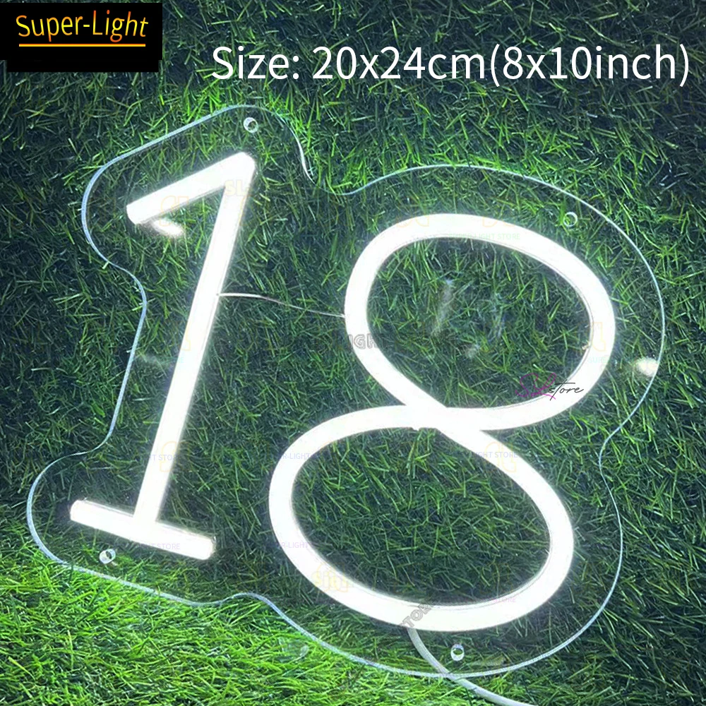 Custom LED Number 18 Neon Signs Dimmer Wall Decor Light Up Signs for Wedding Decor First Birthday Party Numbers Lamp Kids Gift