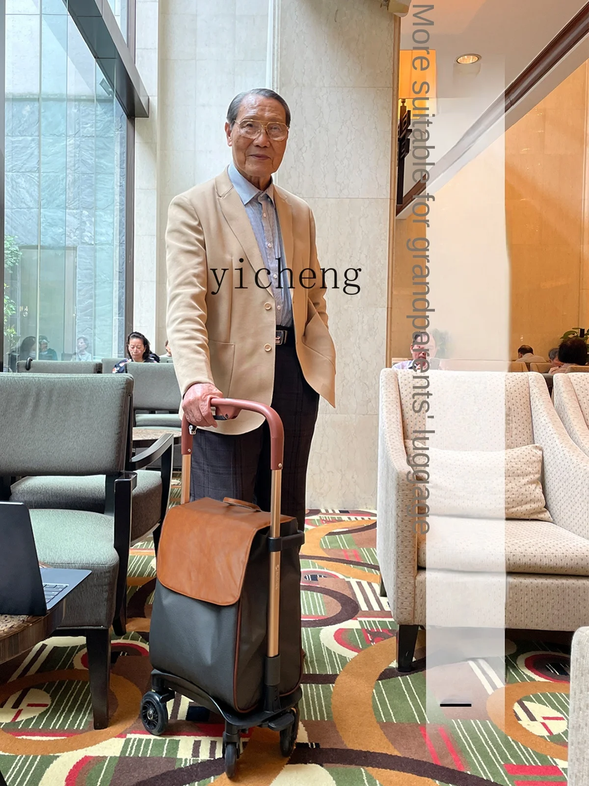 Tqh Travel Shopping Trolley Trolley Telescopic and Portable Elderly Brake Walking Aid Armrest Luggage