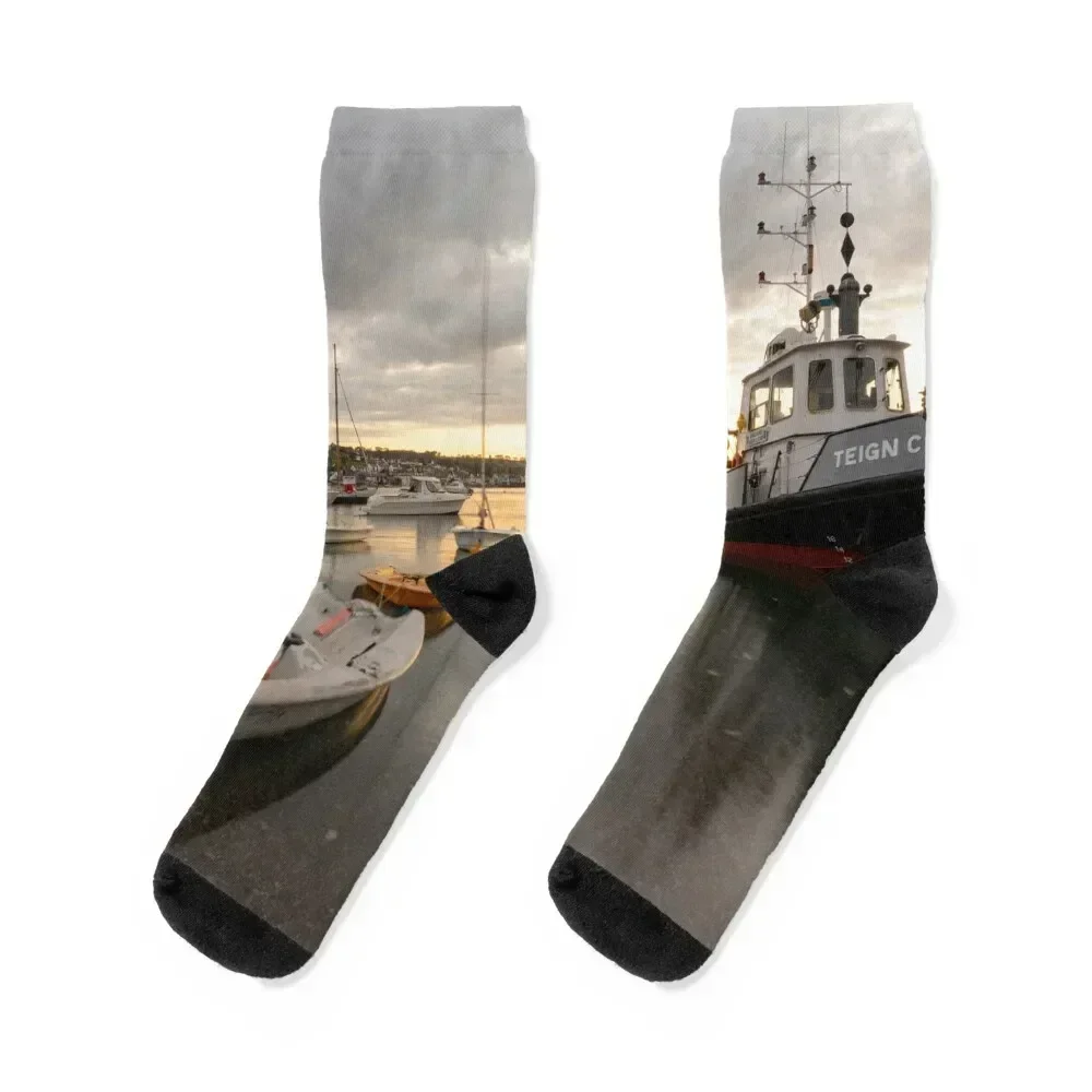 

Teignmouth Twilight Trawler Socks ankle soccer anti-slip football Men Socks Women's