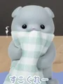 gray cat