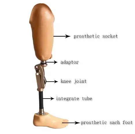 innovative products High Quality Advanced Prosthetics Artificial Limb  Leg for Amputee Hot sales